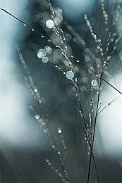 10款几乎没有Boss战的“惊人游戏” 《最后的生还者》在列